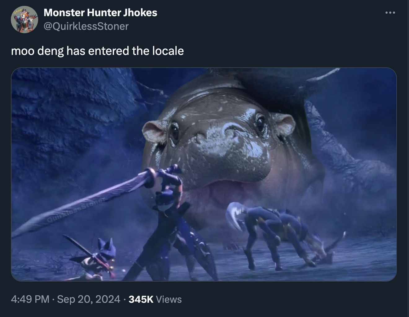 Monster Hunter - Monster Hunter Jhokes moo deng has entered the locale Quin Views